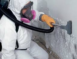 Best Industrial Mold Remediation  in Gardner, KS